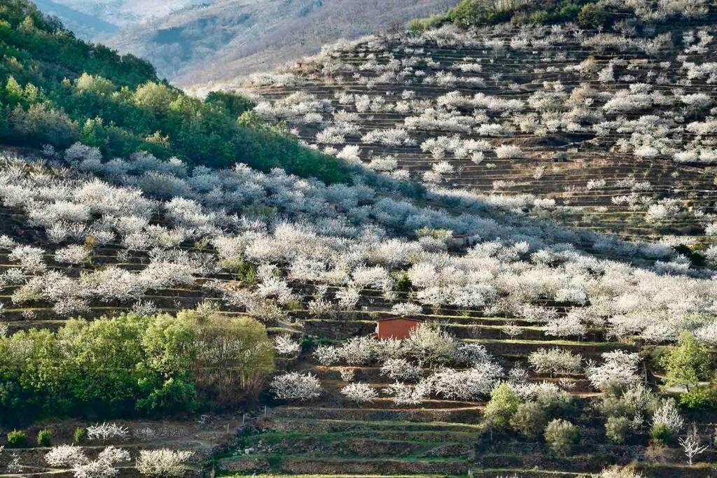Apartamento Rural Se De Un Lugar 埃尔托尔诺 外观 照片